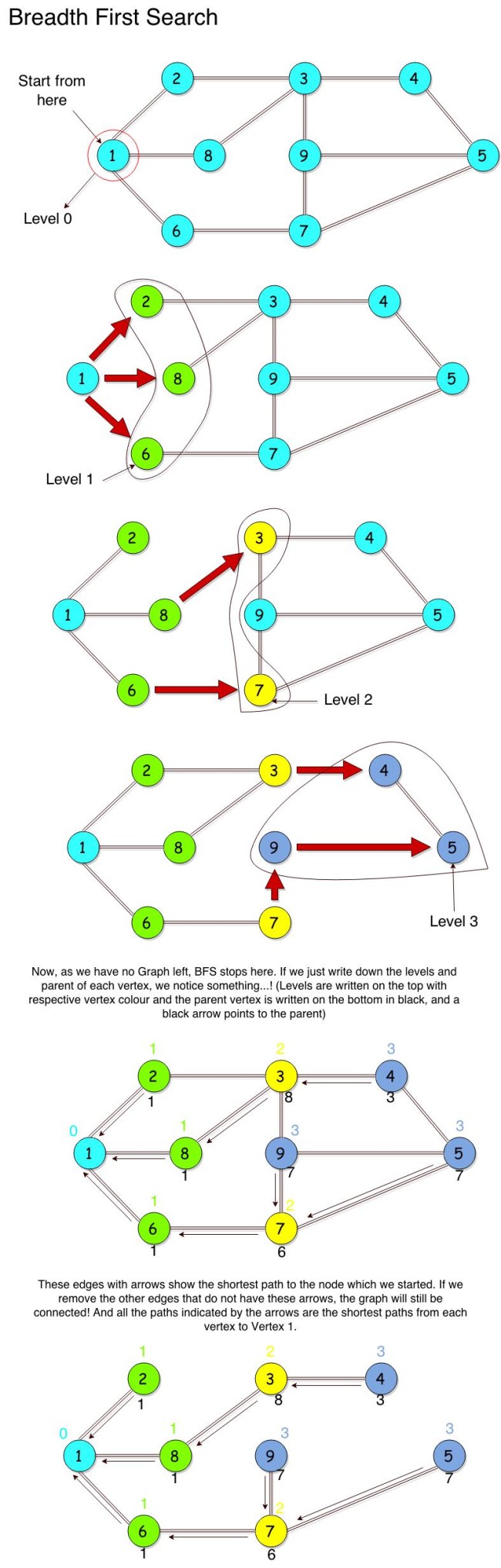 Breadth First Search Algorithm – Theory of Coding